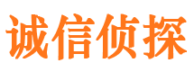 江门侦探公司